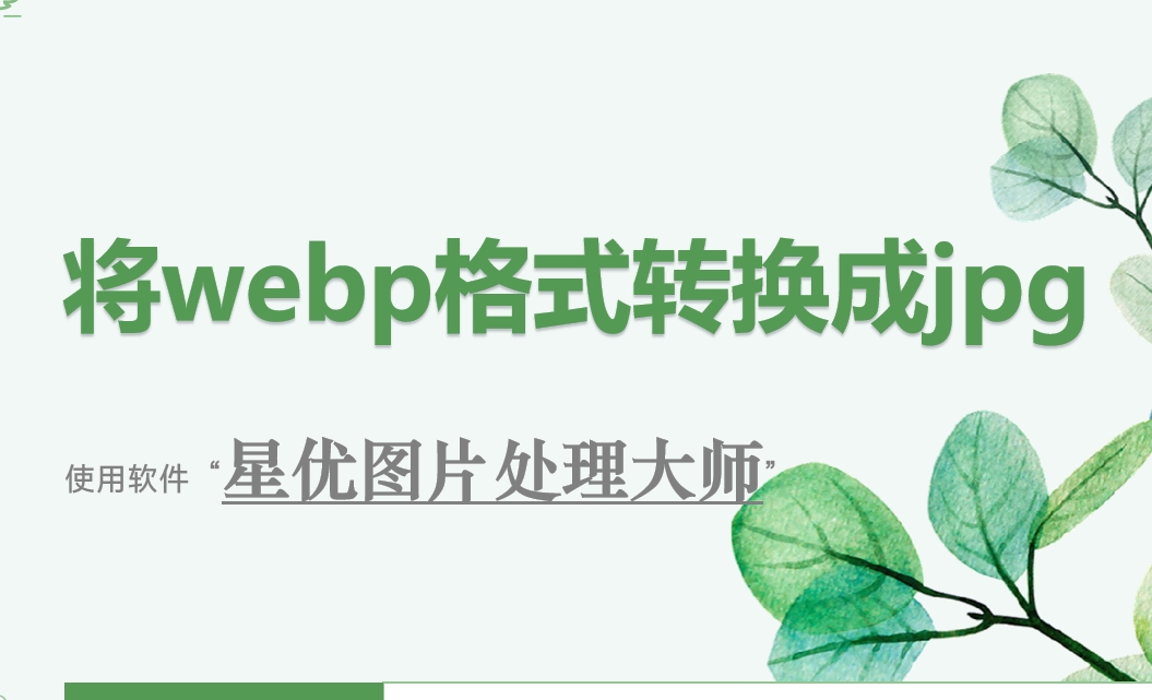 微信截图_20241105112024.png