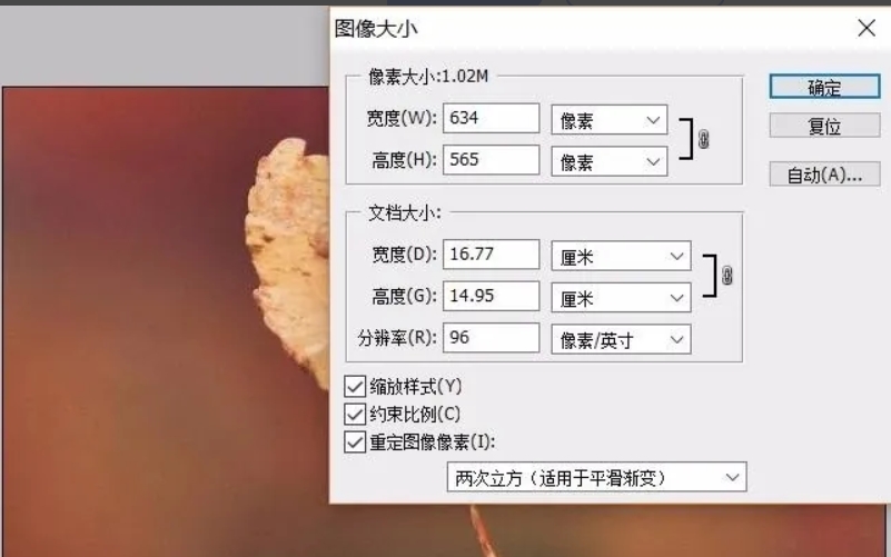 6.png