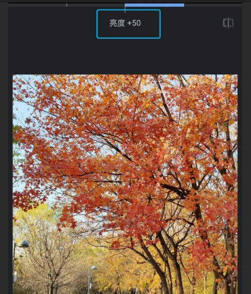 9.png