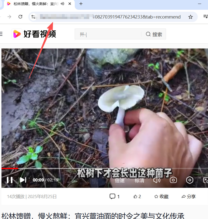 1762154090560068.jpeg 1.jpeg