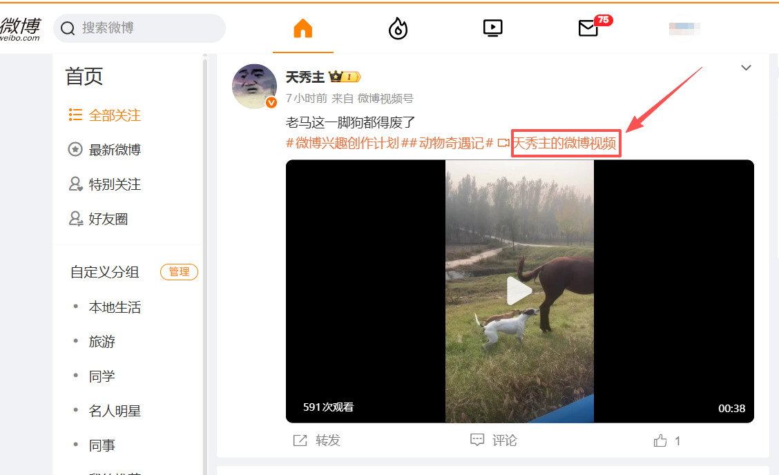 1762412889151022.jpeg 3.jpeg