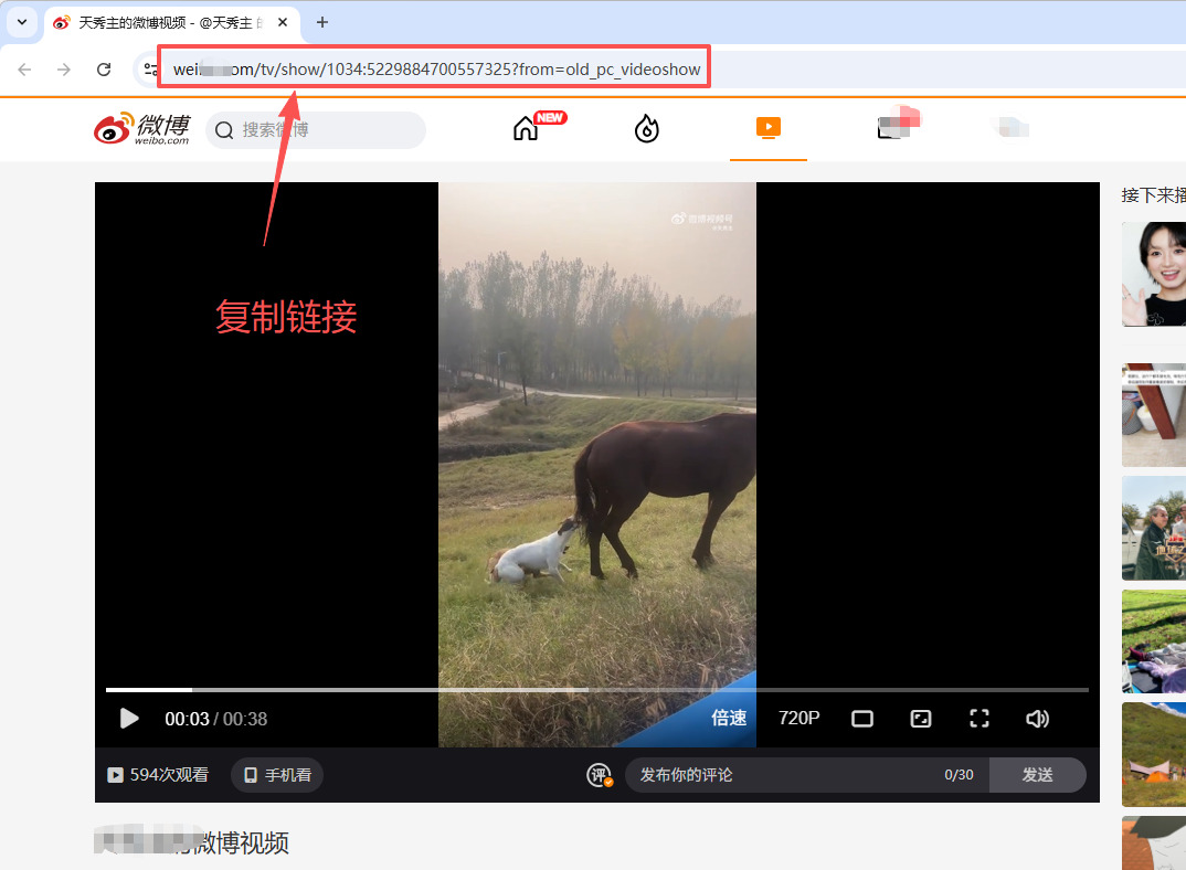 1762412894268800.jpeg 4.jpeg