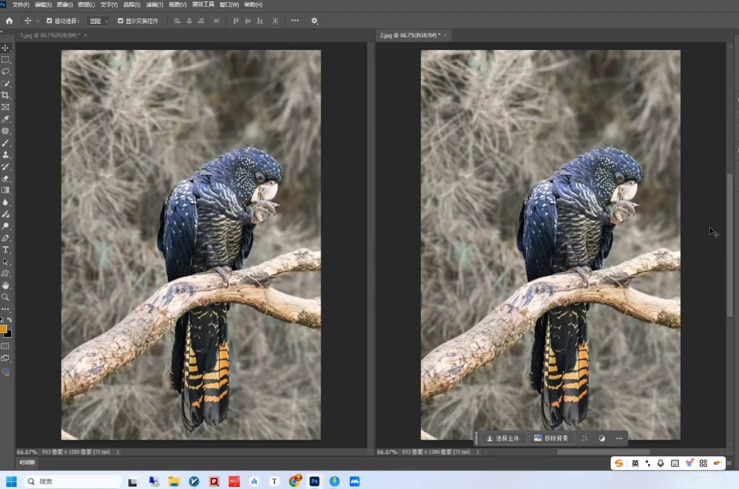 1763088128617928.jpeg 10.jpeg