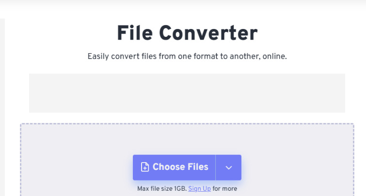 1765955119764313.jpeg 10.jpeg