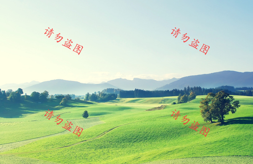 1766024322947917.jpeg 6.jpeg