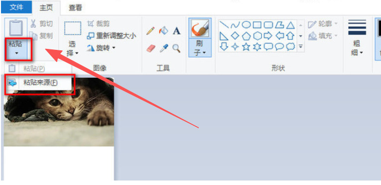 1766730091114788.jpeg 5.jpeg