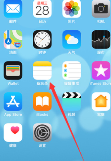 1767851656829175.jpeg 8.jpeg