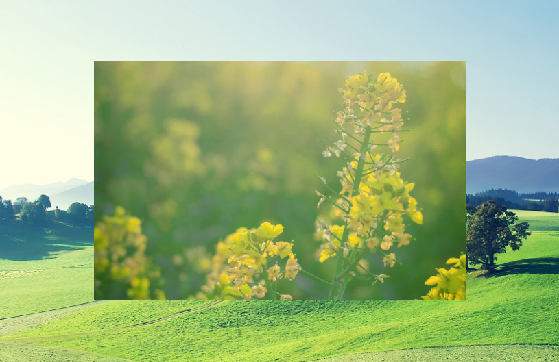 1772086934219188.jpeg 8.jpeg